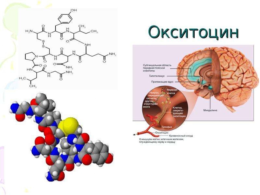 Выработка окситоцина