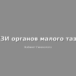 УЗИ-органов-малого-таза